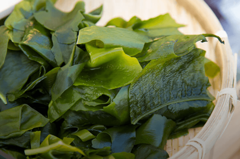 Elemis aroma seaweed massage