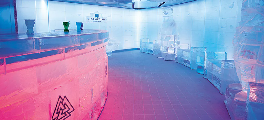 Skyy® vodka ice bar