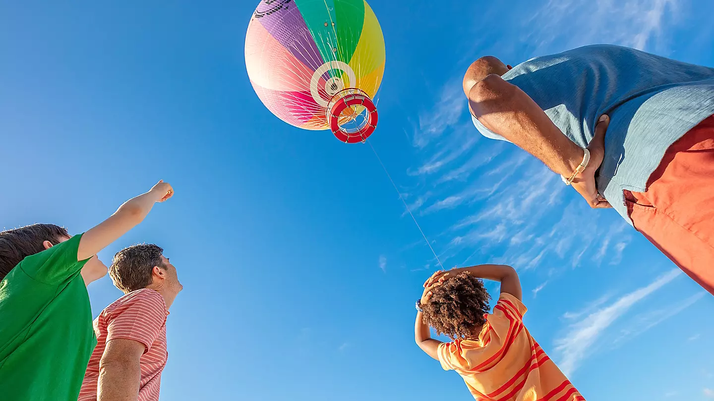 Let your adrenaline soar