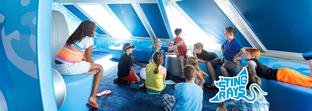 Camp ocean