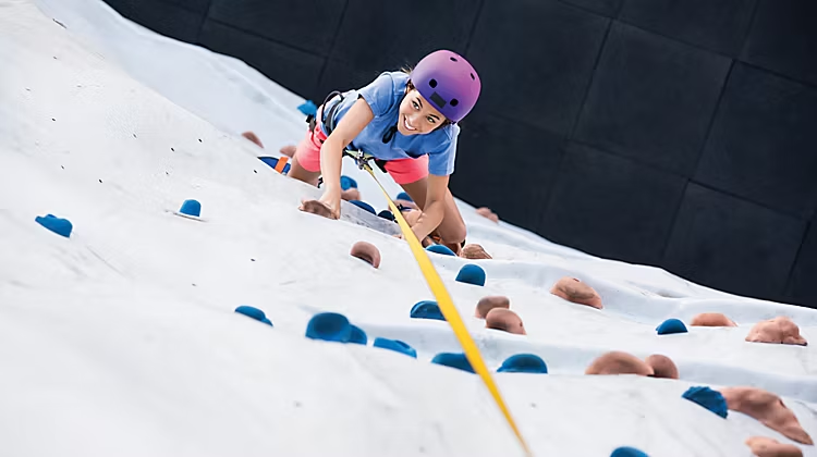 Rock climbing wall