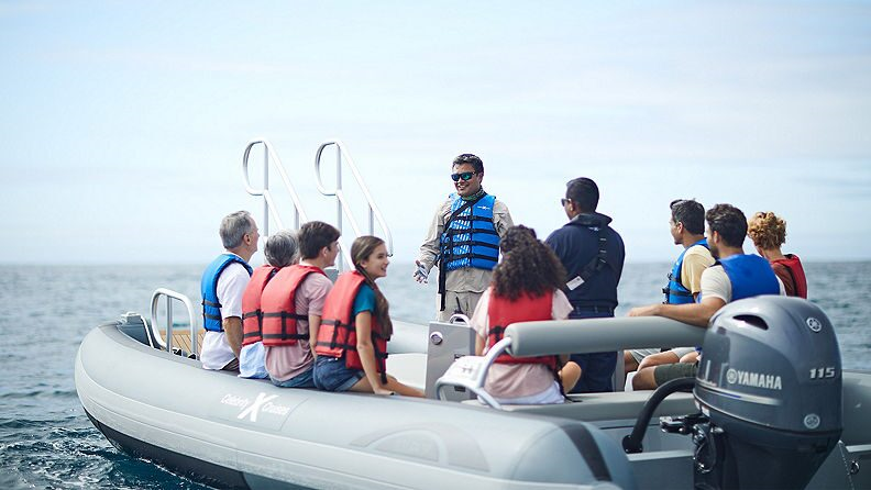 Novurania yacht tenders