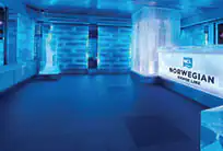 Skyy® vodka ice bar