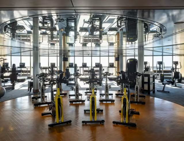 The gym and fitness studio