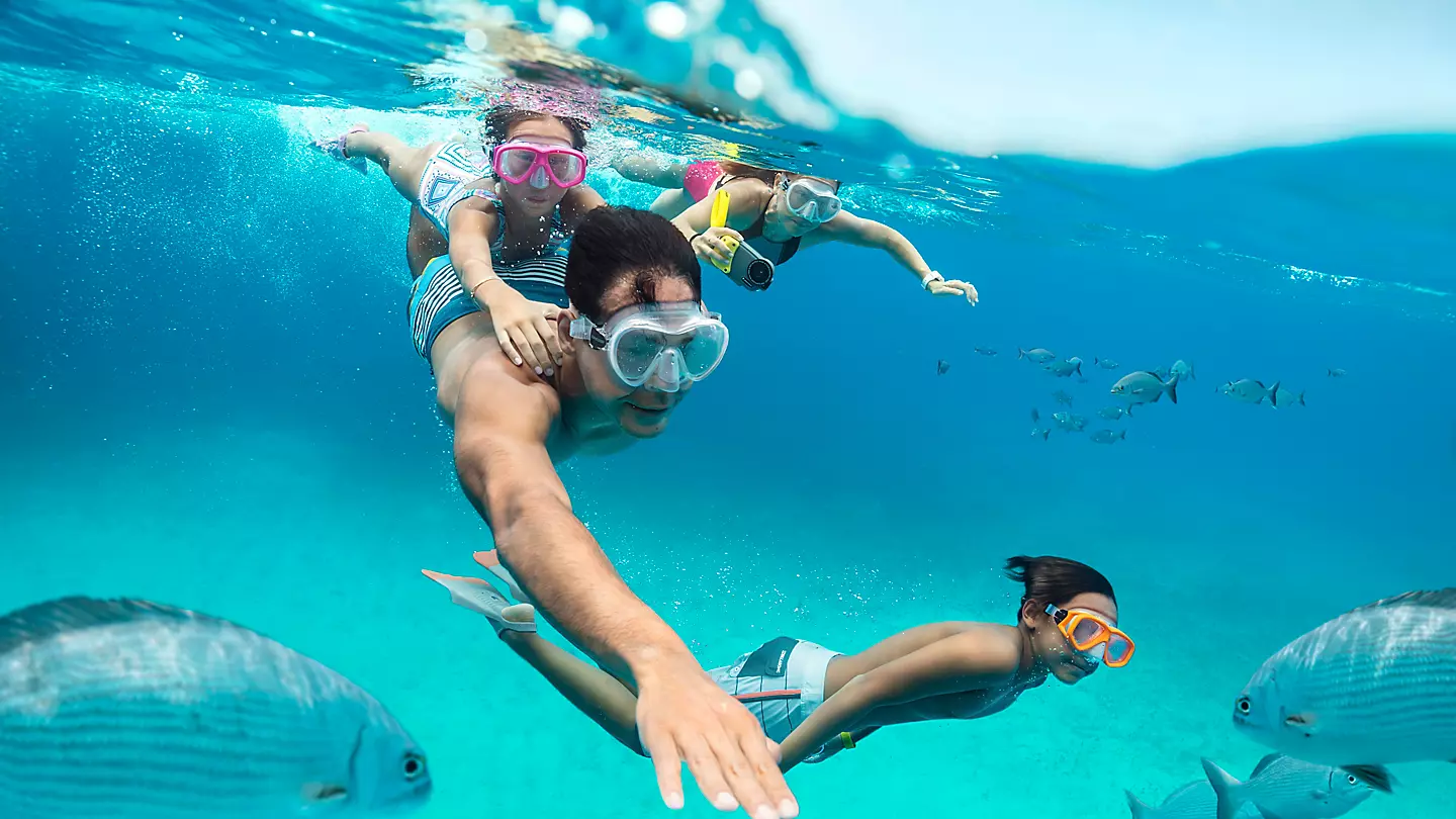 Connect with the whole crew